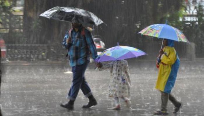 सातारा जिल्ह्यात सरासरी 10.4 मि.मी. पाऊस