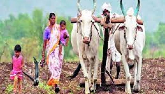 शेतजमीन फसवणुकीचे प्रकार थांबणार; महसूल विभाग नवं सॉफ्टवेअर आणणार, मालकासह कब्जेधारकांना दिलासा