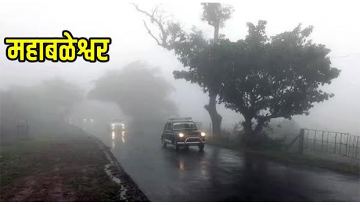 महाबळेश्वर तालुक्यात सर्वाधिक 104 मि.मी.पाऊस