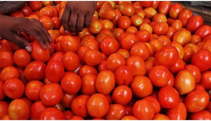 टोमॅटोची डबल सेंच्युरी कायम, पालेभाज्यांचे दर घसरले, बाजारात आल्याची चमक कायम