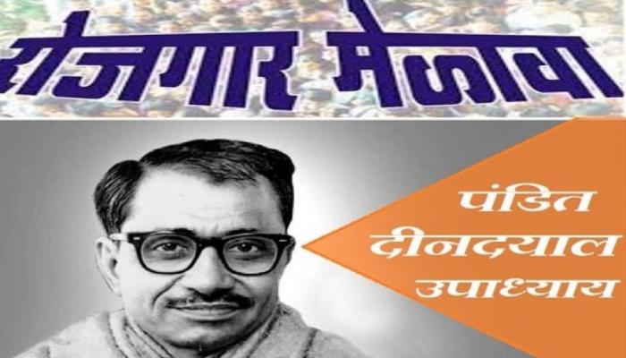 पंडीत दीनदयाल उपाध्याय रोजगार मेळाव्याचे आयोजन