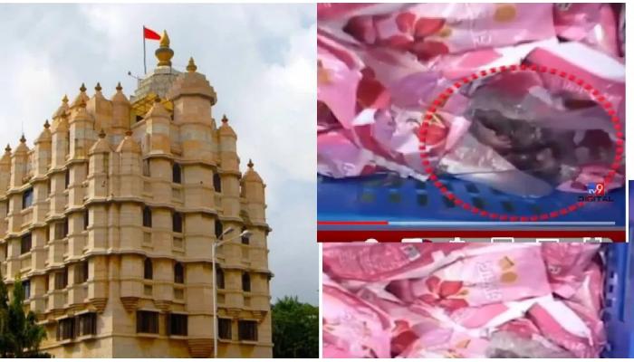 मुंबईतील विख्यात सिद्धीविनायक मंदिरातील प्रसाद खूप चर्चेत