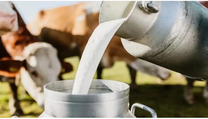 राज्यातील दूध उत्पादक शेतकर्‍यांना आता 7 रूपये अनुदान