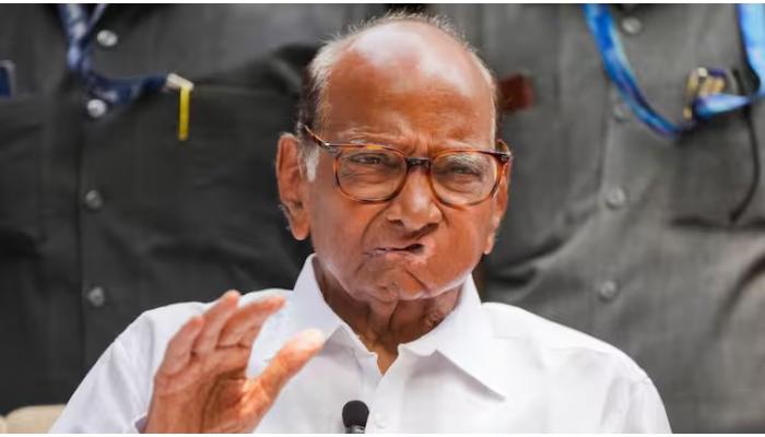 विधानसभा निवडणुकीनंतर शरद पवारांचा गट काँग्रेसमध्ये होणार विलीन?