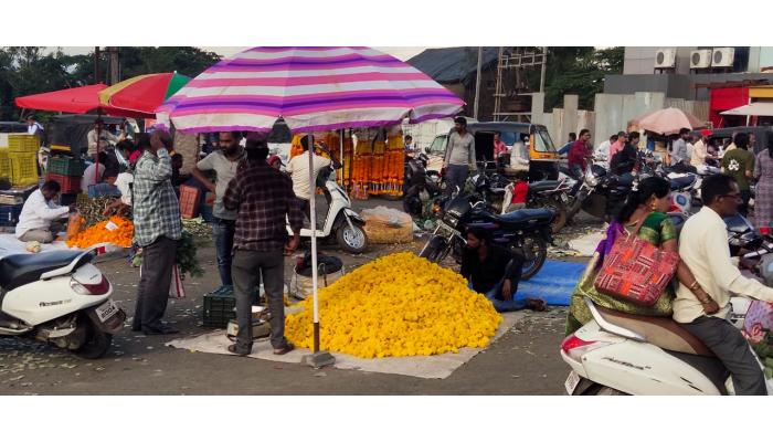 शाही दसर्यासाठी शाहूनगरी सज्ज