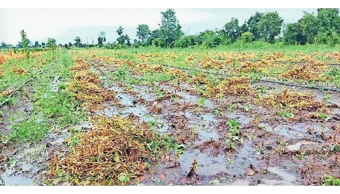 जिल्ह्यात परतीच्या पावसाचा धुमाकूळ