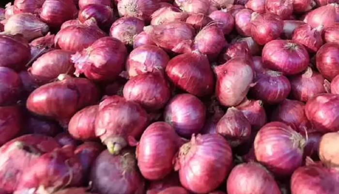 नवीन लाल कांद्याच्या आवकेत मोठी वाढ
