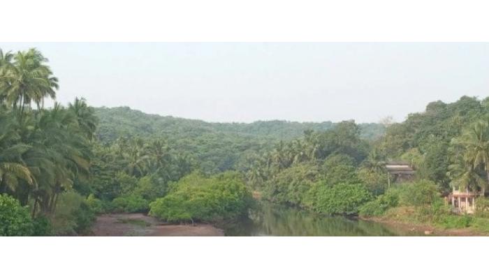 ‘चला जाणूया वनाला’ निसर्ग पर्यटन योजना