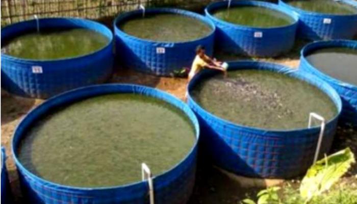 बायोफ्लॉक मत्स्यसंवर्धनाबाबत दोन दिवसीय प्रशिक्षण कार्यशाळेचे आयोजन