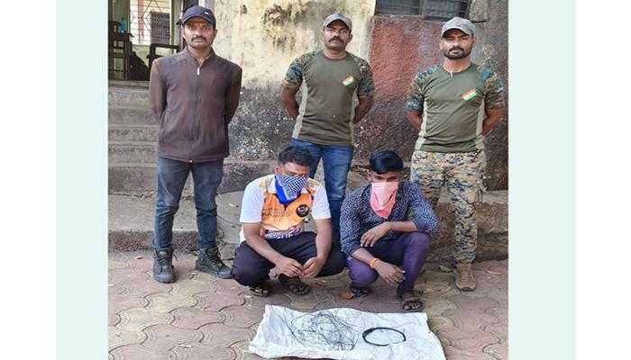 बर्गेवाडी येथे शिकार करण्याच्या प्रयत्नात दोघे ताब्यात