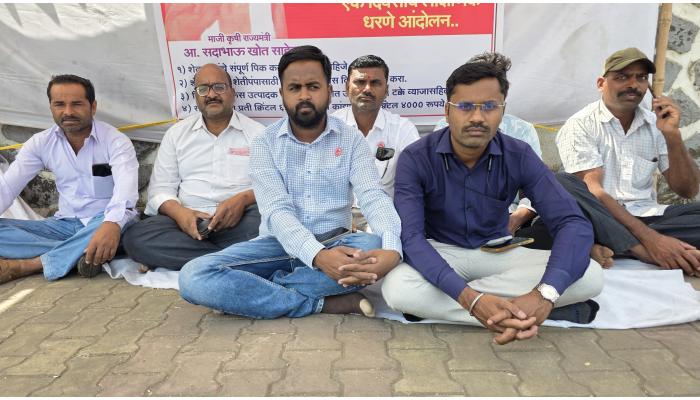रयत क्रांती संघटनेच्यावतीने जिल्हाधिकारी कार्यालयावर धरणे आंदोलन