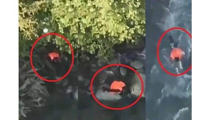 दहशतवाद्यांना मदत करणाऱ्या तरुणाने पोलिसांपासून वाचण्यासाठी नदीत उडी मारली