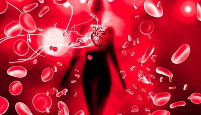 अशुद्ध रक्त शुद्ध करण्यासाठी सोपे घरगुती उपाय