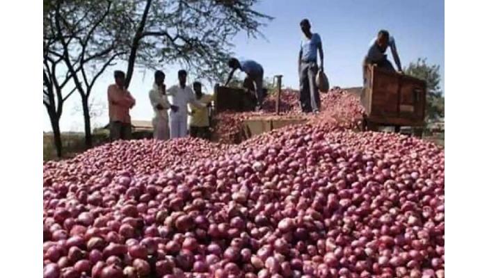 कांदा उत्पादनाला अवकाळीचा फटका