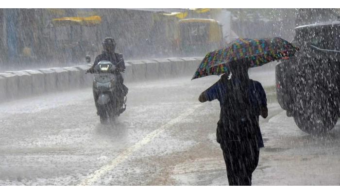 जिल्ह्याच्या पश्चिम भागात पावसाची संततधार