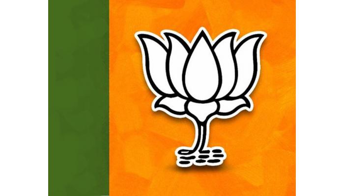 सातारचे दहा नेते भाजपच्या राज्य परिषदेवर