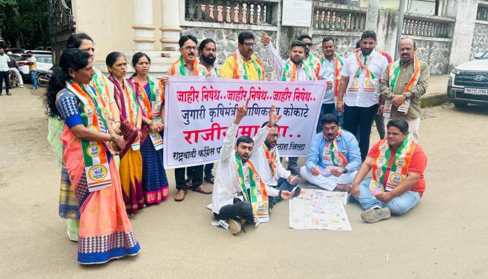 राष्ट्रवादी शरद पवार गटाचे पत्ते खेळून आंदोलन