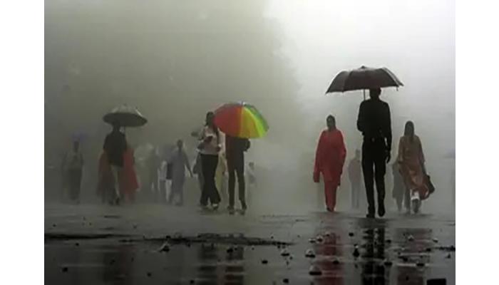 जिल्ह्याच्या पश्चिम भागात पावसाचा जोर