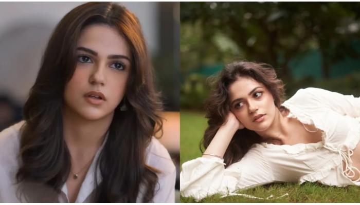 'सैयारा' चित्रपटातून बॉलिवूडमध्ये धमाकेदार एन्ट्री करणाऱ्या 'या' नवोदित अभिनेत्रीचा प्रवास