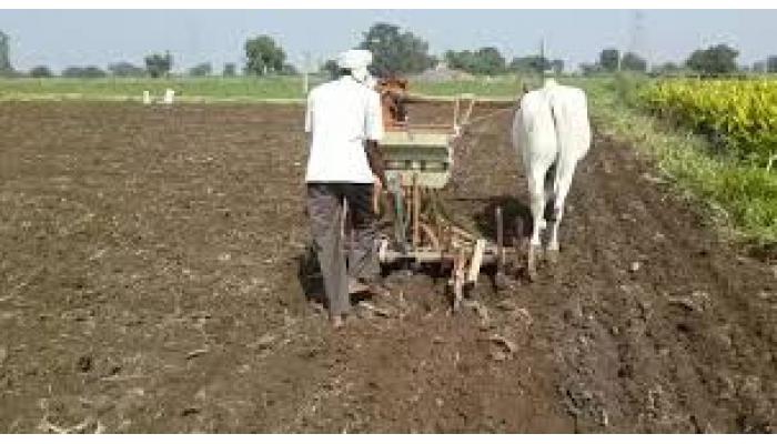 जिल्ह्यात खरीपाचा ७२ टक्के पेरा