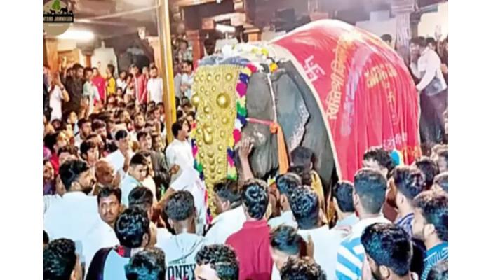 'माधुरी'ला परत आणण्यासाठी मुख्यमंत्री फडणवीस ॲक्शन मोडमध्ये
