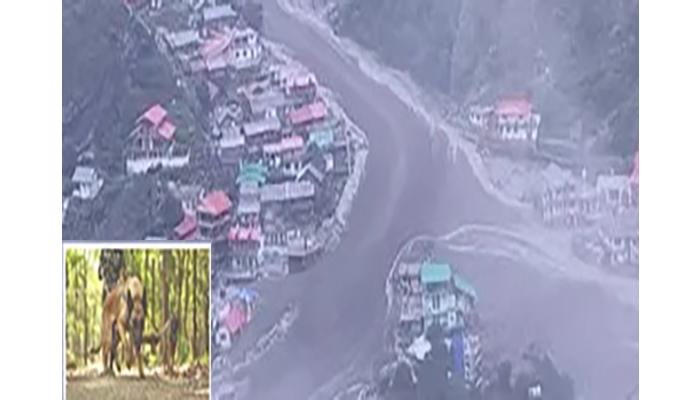 स्निफर डॉग्स उत्तरकाशीतील दुर्घटनेत मलब्याखाली दबलेल्यांचा घेणार शोध