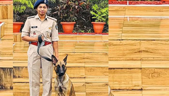 सह्याद्री व्याघ्र प्रकल्पात आता बेल्जी शेफर्ड श्वानपथक