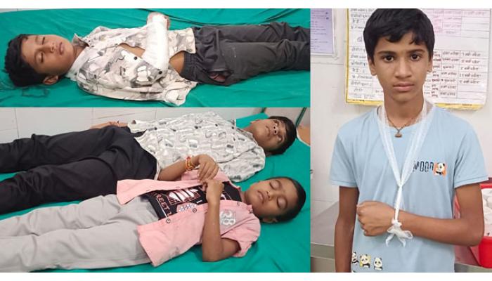 शाळेत जाताना लहानग्यांच्या अंगावर कोसळले झाड