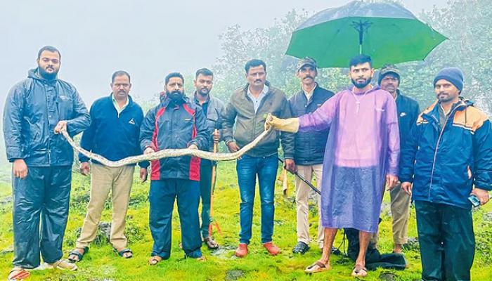 वेण्णा लेकनजीक आढळले अजगर