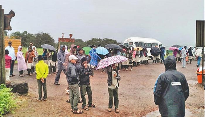 कासच्या हंगामाला दणकेबाज सुरुवात; पहिल्याच दिवशी पर्यटकांची मांदियाळी