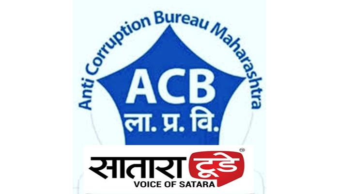 बोरगावचा तलाठी लाच घेताना लाचलुचपत विभागाच्या जाळ्यात