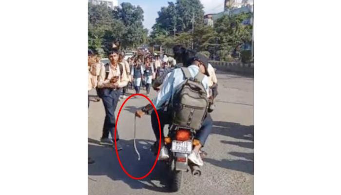 हातात साप घेऊन विद्यार्थ्यांची हुल्लडबाजी; पोलिसांची पालकांवर कारवाई