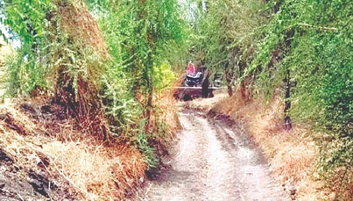 सातारा जिल्ह्यातील खुले करण्यात आलेले पाणंद रस्ते GIS नकाशावर उपलब्ध