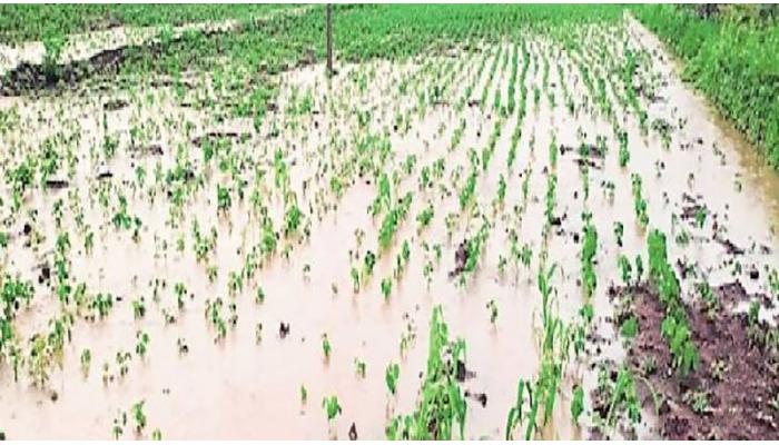 अतिवृष्टीग्रस्त शेतकऱ्यांच्या मदतीसाठी ६८९ कोटी ५२ लाख ६१ हजार रुपयांच्या निधीस मान्यता
