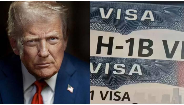 डोनाल्ड ट्रम्प यांचे H-1B आणि L-1 व्हिसाबद्दल धक्कादायक विधेयक...