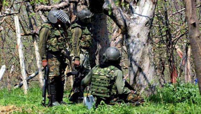 काश्मिरमधील गडोल जंगलात लष्काराचे दोन जवान गायब