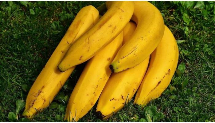 दररोज केळी खाल्ल्याने मिळतील शरीराला आश्चर्यकारक फायदे