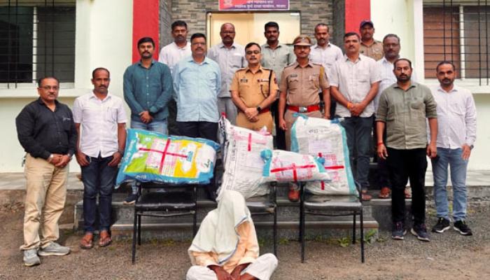 गांजाची लागवड करणाऱ्या तुपेवाडीच्या शेतकऱ्यास अटक,10 लाख रुपये किंमतीचा गांजा जप्त; सातारा स्थानिक गुन्हे शाखेची कारवाई