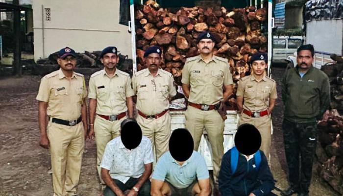 अवैध लाकूड वाहतूकप्रकरणी पाच जण ताब्यात; वन विभागाच्या फिरत्या पथकाची दोन ठिकाणी कारवाई