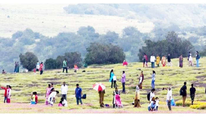 महाबळेश्वर पाठोपाठ दिवाळी हंगामासाठी सज्जनगड, कास, बामणोली परिसर बहरणार