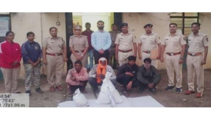 सशाची शिकार करणाऱ्यांना ढवळ येथील चार जणांना वनकोठडी ; रंगेहाथ पकडले, फलटण वनविभागाची कारवाई