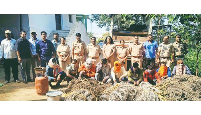 रानडुकरांची तस्करी करणारी टोळी गजाआड; कासारशिरंबेत कारवाई; नऊ जणांना अटक, बीडमधून आणलेल्या सात रानडुकरांची सुटका