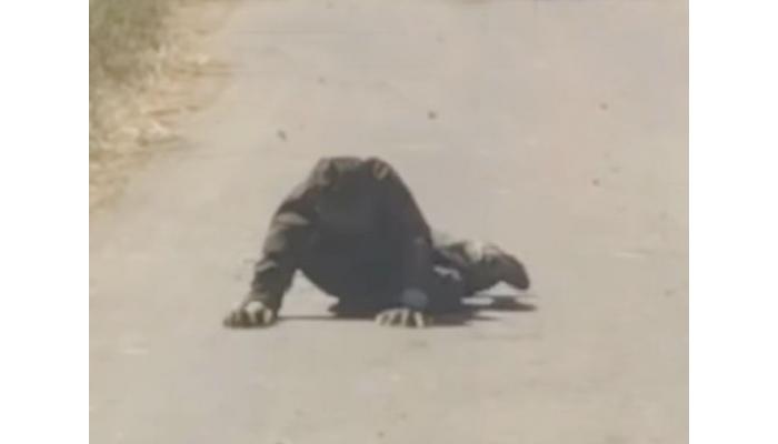 कुत्र्यासारखे वागत असलेला 'तो' तरुण मनोरुग्णच ; युवकास नागरिकांनी पकडले जाळ्यात; फडतरवाडी येथील घटना