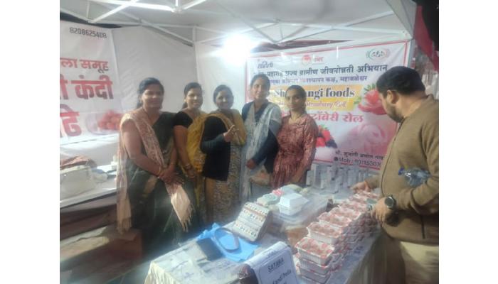 दिल्ली येथे महाराष्ट्रीयन खाद्य महोत्सवामध्ये सातारच्या गटांची मोहोर