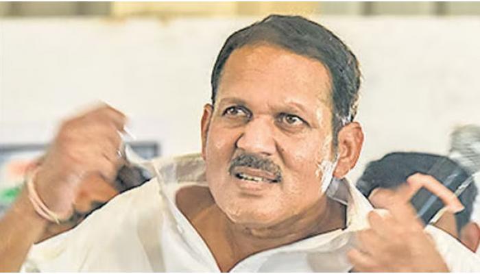 साताऱ्यात फक्त उदयनराजेच चालतात......! पालिकेतील संख्याबळ २८ वर; उपनगराध्यक्षपदासह अधिकच्या सभापतीपदासाठी समर्थक आग्रही