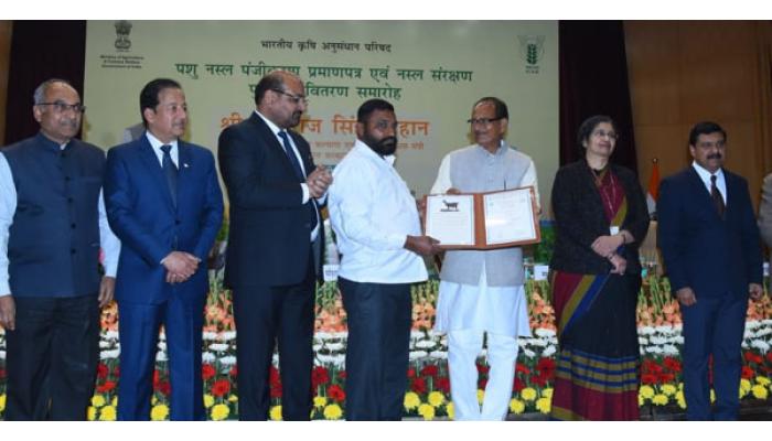 कोडोलीच्या सुपुत्राचा राष्ट्रीय स्तरावर गौरव; उस्मानाबादी शेळी संवर्धनासाठी 'NBAGR' कडून पशुपालक रामचंद्र केशव जाधव यांचा विशेष सन्मान