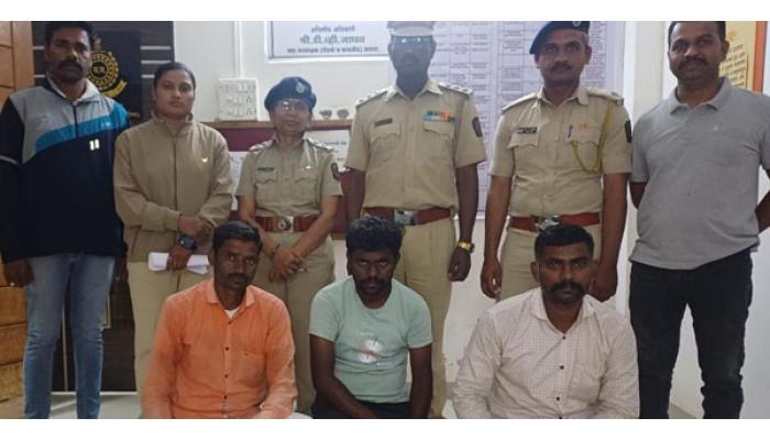 खैर वृक्षाच्या तोडप्रकरणी फडतरवाडीचे तिघे वनविभागाच्या ताब्यात; न्यायालयाकडून एक दिवसाची वन कोठडी