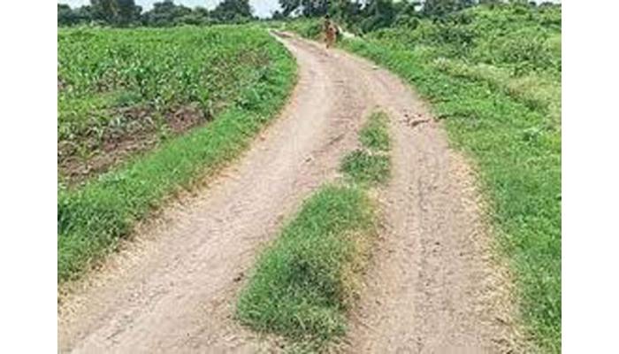 'नरेगा&rsquo; अंतर्गत मातोश्री ग्रामसमृद्धी पाणंद रस्त्यांना मोठा दिलासा ; दहा कामांची मर्यादा हटणार