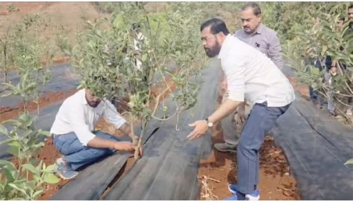 उपमुख्यमंत्री एकनाथ शिंदे यांनी शेतात झाडांची केली लागवड ; १०५ गावांच्या प्रतिनिधींना भेटून मुंबईला रवाना