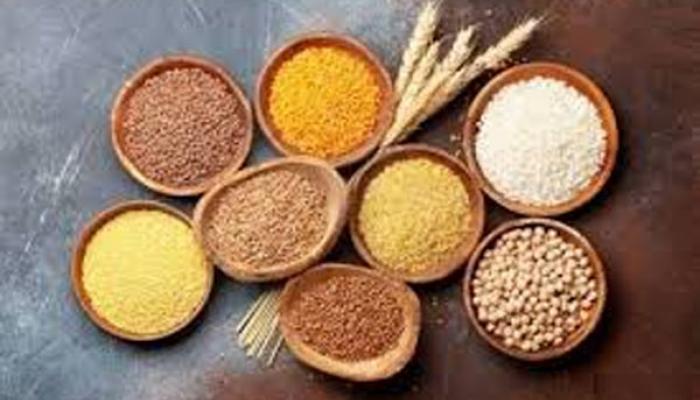 सातारा येथील प्रशासकीय इमारतीच्या प्रांगणात कृषी विभागाच्या पौष्टिक तृणधान्य महोत्सवामध्ये 25 लाखाची उलाढाल; महोत्सवास प्रतिसाद